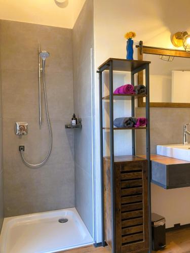 a bathroom with a shower and a toilet and a sink at Ferienhaus Riedlodge Bodensee-Obers in Guggenhausen