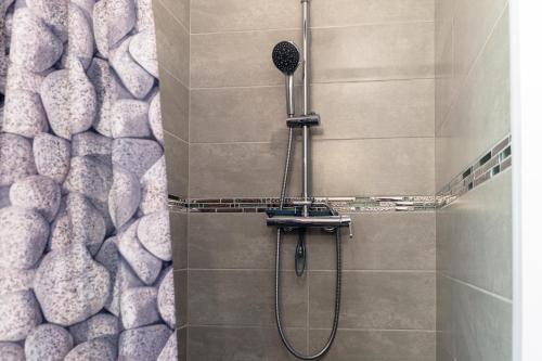 a shower with a shower head in a bathroom at Chambre indépendante climatisée in Laroque-des-Albères
