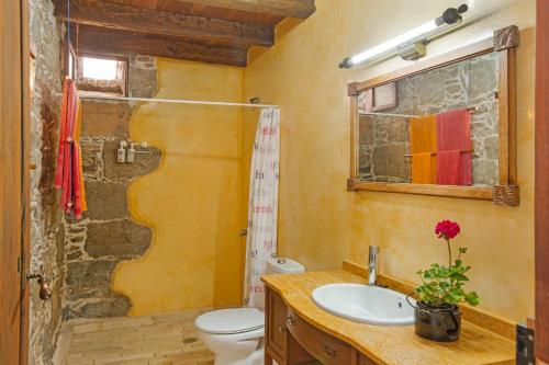 a bathroom with a sink and a toilet and a mirror at Casa Emblemática La Pileta Bentejui in Agüimes