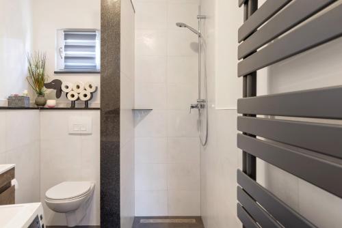 a bathroom with a toilet and a shower at Pension Haus Leni am Schwanenteich in Mühlhausen