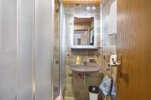 a small bathroom with a sink and a shower at Am Wehrastrand App Pr in Todtmoos