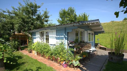 a small house with potted plants in front of it at Die blaue Hütte - Tiny House am Elberadweg in Seestermühe