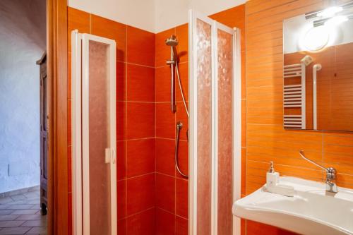 a bathroom with a shower and a sink at Le Gerlette - La Capanna in Braccagni