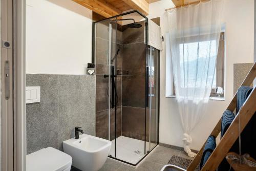 a bathroom with a shower and a toilet and a sink at Bio Maso Nido Verde in Frassilongo