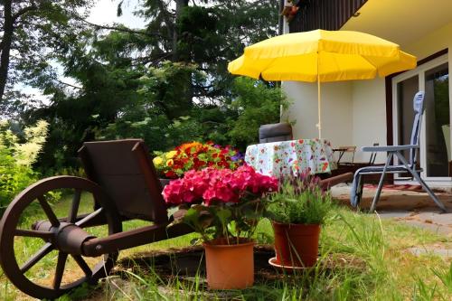 a garden with a chair and an umbrella and flowers at Ferienwohnung Jachmann, 80qm in Schönwald