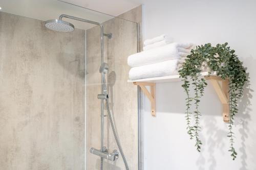 a bathroom with a shower with towels on a shelf at An Bothan in Isleornsay