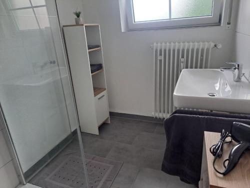 a bathroom with a shower and a sink at Ferienwohnung im Ries in Wallerstein