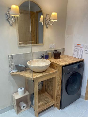 a bathroom with a sink and a washing machine at Le Chai d'Auguste in Pauilhac