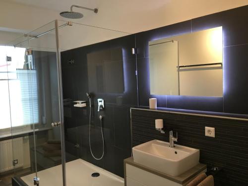 a bathroom with a sink and a glass shower at Hannes und Stefanie Fleischer in Wangen