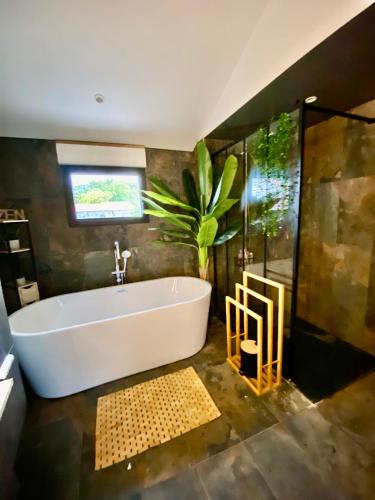 a bathroom with a large tub and a plant at La Cour de la Forêt in Saint-Mars-de-Coutais