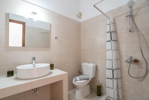 a bathroom with a sink and a toilet and a shower at Mesaria Home in Donoussa