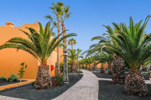 Apartamento Papagayo