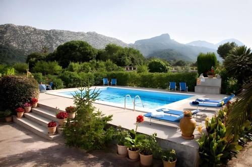 Camp de l'Alzina