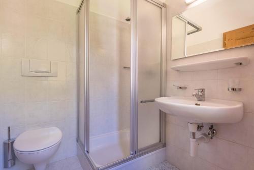 a bathroom with a shower and a sink and a toilet at Sallrain Hof Monolokal 4 in Collalbo