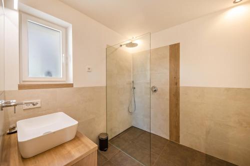a bathroom with a shower with a sink and a toilet at Thalerhof Sancta Sebastianus in Auna di Sotto