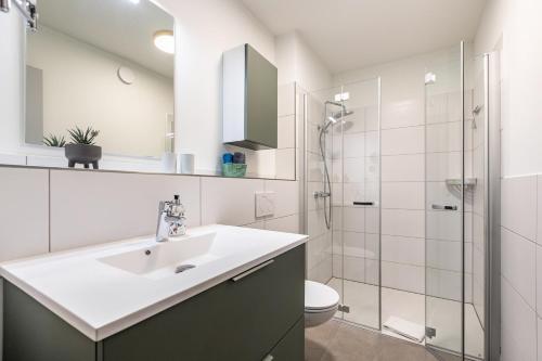 a bathroom with a sink and a shower at Gosewatt Wohnung 4 in Husby