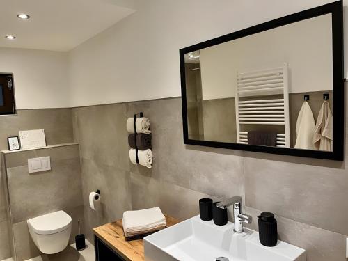a bathroom with a sink and a toilet and a mirror at Haus Blumenglück in Herscheid