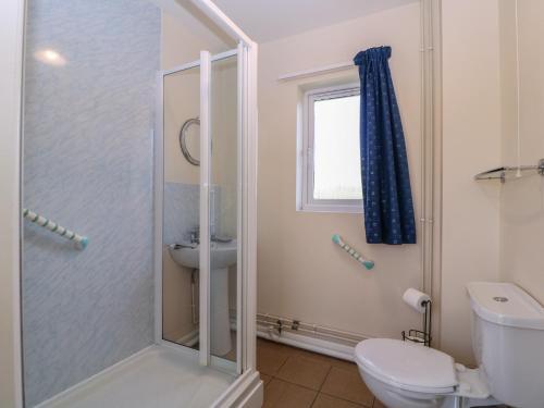 a bathroom with a shower and a toilet and a sink at The Turbles - Swallows Nest in Castlemorton