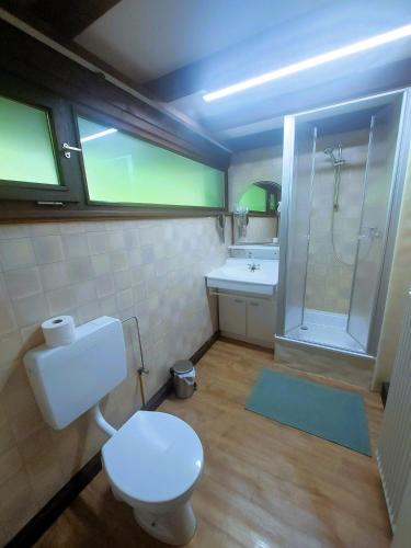 a bathroom with a toilet and a sink and a shower at Haus Seidelbast in Siegsdorf