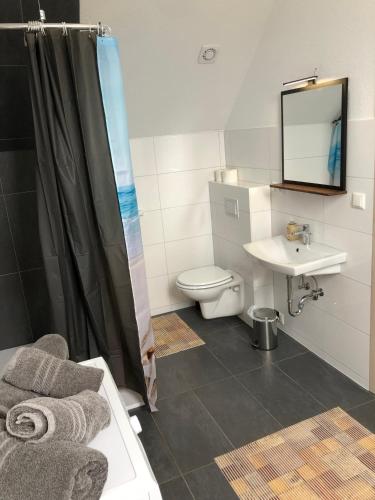 a bathroom with a shower and a toilet and a sink at Apartment am Stettiner Haff in Mönkebude