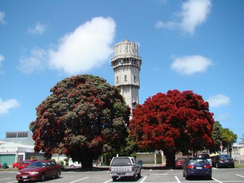 Fotografie z fotogalerie ubytování Kiwi Court Motel v destinaci Hawera