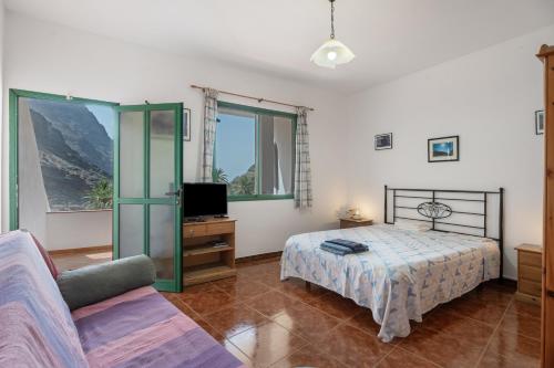 a bedroom with a bed and a tv and a couch at Apartamento Nayara C in Valle Gran Rey