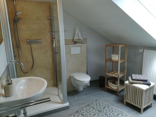 a bathroom with a shower and a toilet and a sink at Ferienwohnungen Ambiente-Schmidt in Olsberg