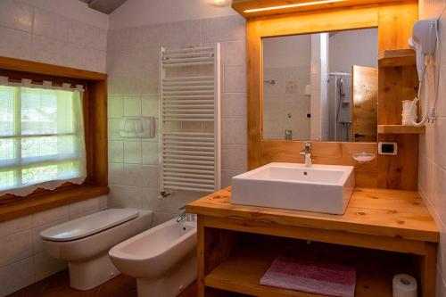 a bathroom with a sink and a toilet and a mirror at Chalet Galli Trilocale in Livigno