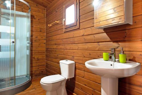 a bathroom with a toilet and a sink and a shower at Casa Juana Madera in Zahora