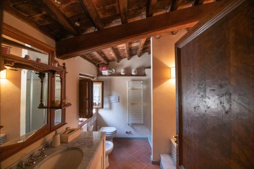 a bathroom with a toilet and a sink and a mirror at Podere Bucigattolo in Serravalle Pistoiese