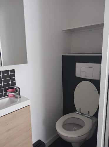 a small bathroom with a toilet and a sink at Chalet proche dinard in Pleurtuit