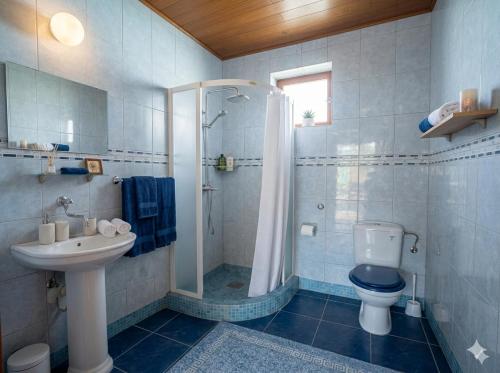 a bathroom with a shower and a toilet and a sink at Мечта in Kruče