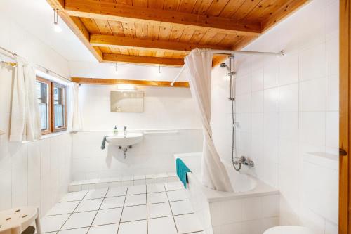 a bathroom with a tub and a toilet and a sink at Ole Schün Dannau in Oldenburg in Holstein