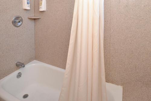 a bath tub with a shower curtain in a bathroom at Bishop Inn in Bishop