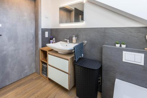 a bathroom with a sink and a mirror at Zeichner in Geisingen