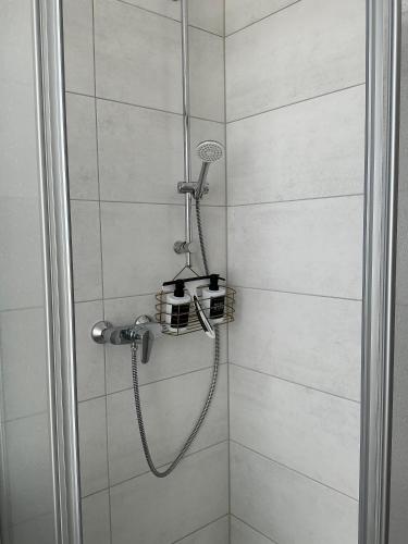 a shower with a shower head in a bathroom at Harzträume Thale in Thale