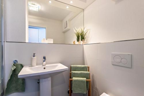 a bathroom with a sink and a mirror at Terralpin Apartments - 27qm in Bruckmühl