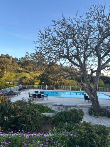 a swimming pool with a tree and tables and flowers at Quinta da Carlota in Torres Vedras