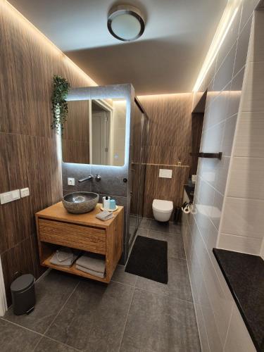 a bathroom with a sink and a mirror at B&B Lisa Groningen in Haren