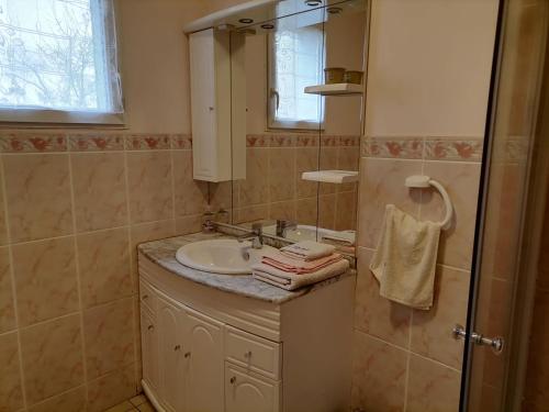 a bathroom with a sink and a mirror at Le Gite du Champ de la Croix in Subligny