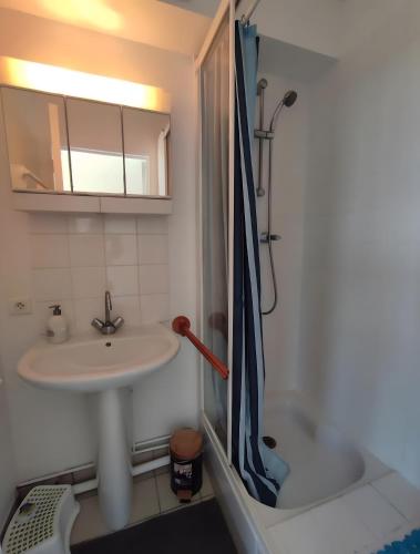 a bathroom with a sink and a shower at Le Relais de Chasse in Eu