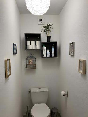 a bathroom with a toilet and a potted plant at Maison en Drôme Provençale in Nyons
