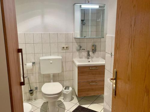 a bathroom with a toilet and a sink and a mirror at Ferienwohnung, Schwerin in Schwerin