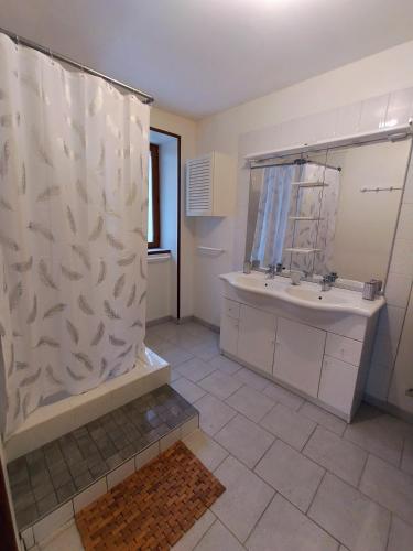 a bathroom with a shower and a sink at Gite cozy, Parc naturel du Morvan in Lormes
