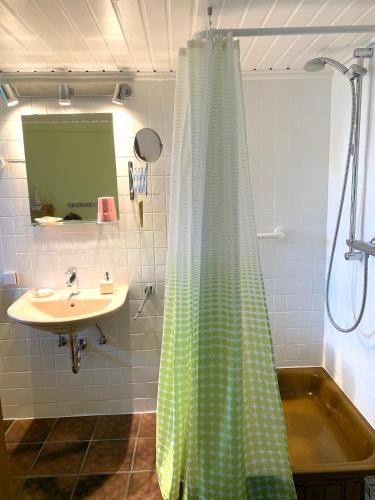 a bathroom with a shower curtain and a sink at Reetdachkate Müllerhaus von 1860 in Thalingburen