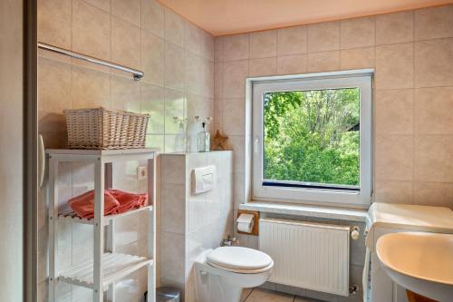 a bathroom with a toilet and a window and a sink at Dachstudio Seeblick in Krüselin