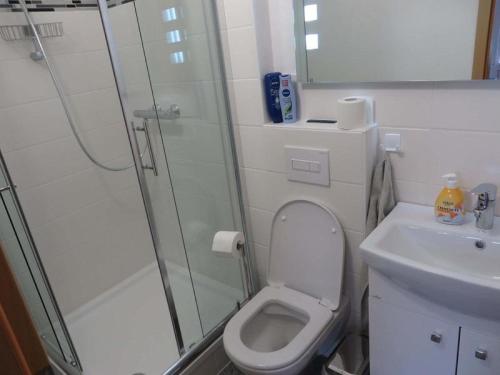 a bathroom with a shower and a toilet and a sink at Historischer Marktplatz in Spangenberg