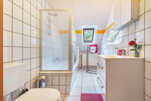 a bathroom with a toilet and a sink at Ferienwohnungen zur Reuse in Mardorf
