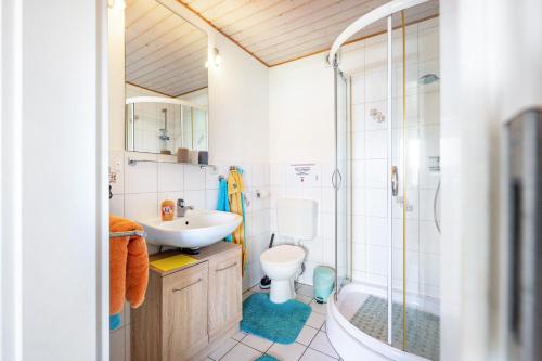 a bathroom with a sink and a toilet and a shower at Fluss aufwärts in Schülp