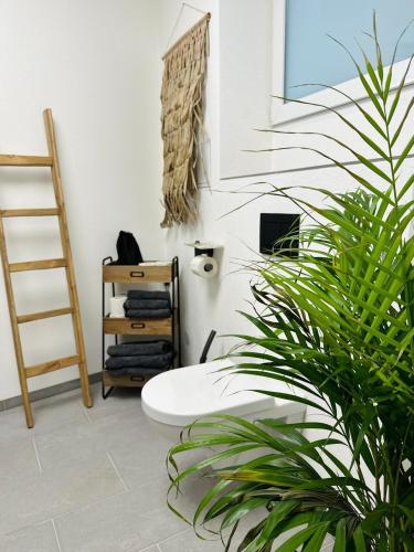 a bathroom with a white toilet and a plant at Fewo Heimat - Bad Dürkheim in Bad Dürkheim